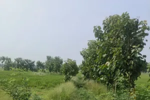 बर्डपुर ब्लाक में  वीबी - जी राम जी योजना में कथित अनियमितता की शिकायत, जांच की मांग
