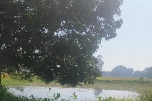 सिद्धार्थनगर :  वीबी - जी राम जी योजना (ग्रामीण) में अधिकारी बने ठीकेदार तो कैसे हो जांच