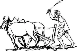 भारतीय किसान की दशा और दिशा .....