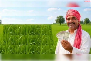 दीपावली से पहले किसानों को सम्मान निधि की 24वीं किस्त, 9.34 करोड़ खातों में पहुंचे 18,690 करोड़ रुपये