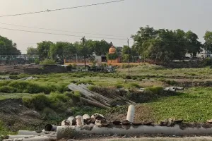 रेंजर बोले- भूमि खाली कराकर बड़े पैमाने पर कराया जाए पौधरोपण