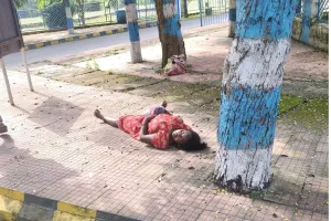 एनटीपीसी परिसर में गर्भवती महिला ने  ईडीसी के सामने दिया बच्चे को जन्म, एक घंटे तक एंबुलेंस का इंतजार