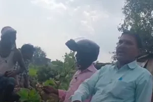 डीएफओ की ढुलमुल नीति के चलते बेलगाम हुए वन कर्मचारी , खुलेआम जनता को दे रहे गाली