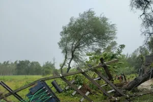 बाढ़ में बिजली के पोल और ट्रांसफार्मर धराशायी, लोहेपनिया गांव में बिजली गुल