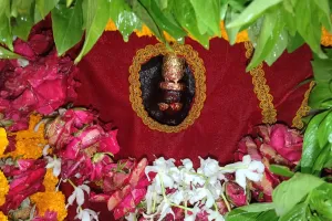 शारदीय नवरात्र के दूसरे दिन मां शीतला के दरबार में उमड़ी भक्तों की भीड़।