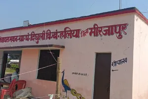 ग्राम पंचायत दिघुली में पानी सप्लाई और मरम्मत के नाम पर लाखों के भुगतान का आरोप, जांच की मांग