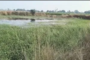 ग्राम पंचायत छरदही  में मनरेगा के अंतर्गत तालाब खुदाई एवं सफाई कार्य में संभावित अनियमितता 