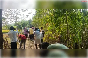 नरहरपुर में चकमार्ग पर मिट्टी पटाई का कार्य जारी, मौके पर पहुंचे मीडिया कर्मियों ने मजदूरों को काम करते देखा