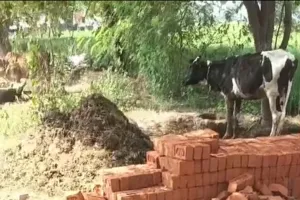 विद्यालय निर्माण में घटिया सामग्री के इस्तेमाल का आरोप, जांच की मांग
