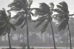 केरल में फिर बदला मौसम का मिजाज, 9 अक्टूबर तक बारिश का अलर्ट; 10 जिलों में येलो अलर्ट
