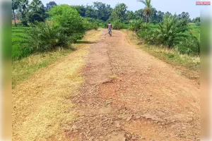 वर्षों से जर्जर चीरुडीह-रसिया टोला सड़क की सुध नहीं, ग्रामीणों में आक्रोश