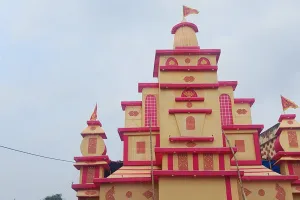 कास के खिले फूल दे रहे मां के आगमन का संदेश, दुर्गा पूजा को लेकर पाकुड़िया में उमंग