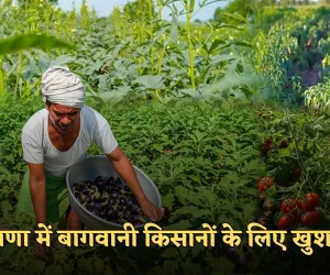 Haryana: हरियाणा में बागवानी किसानों के लिए खुशखबरी, सरकार दे रही इतनी सब्सिडी 