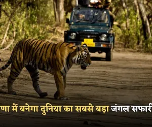 Haryana: हरियाणा में बनेगा दुनिया का सबसे बड़ा जंगल सफारी पार्क, 10 हजार एकड़ में तैयार होगा मेगा प्रोजेक्ट