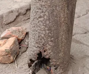  जर्जर बिजली का पोल में  जंग लगने के कारण टूट चुका है कभी भी गिर सकता है। बड़े हादसे के इंतजार में जिम्मेदार अधिकारी