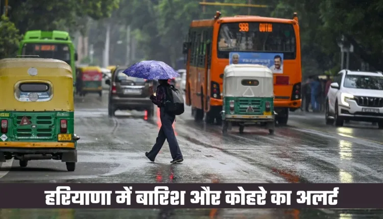 Haryana Weather: हरियाणा में ठंडी हवाओं से बढ़ी कंपकंपी, बारिश और कोहरे का अलर्ट