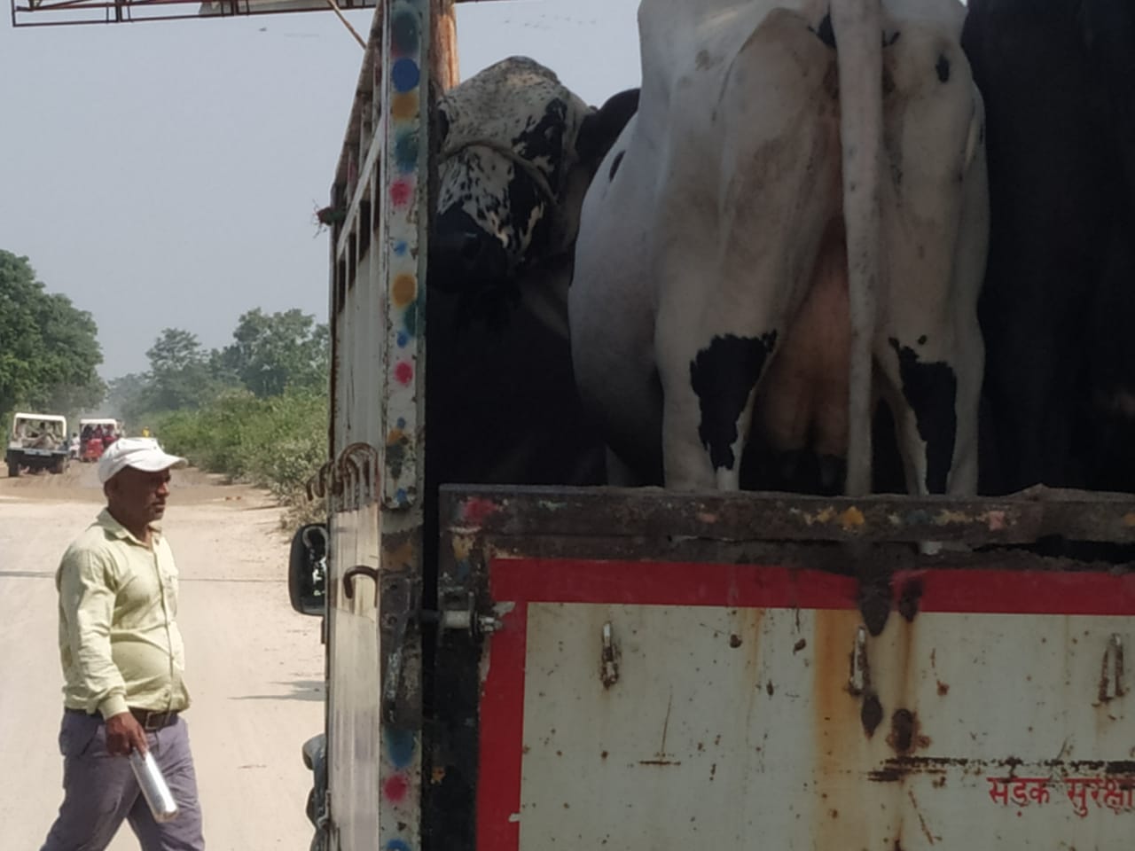 IMG-20221105-WA0043(1)