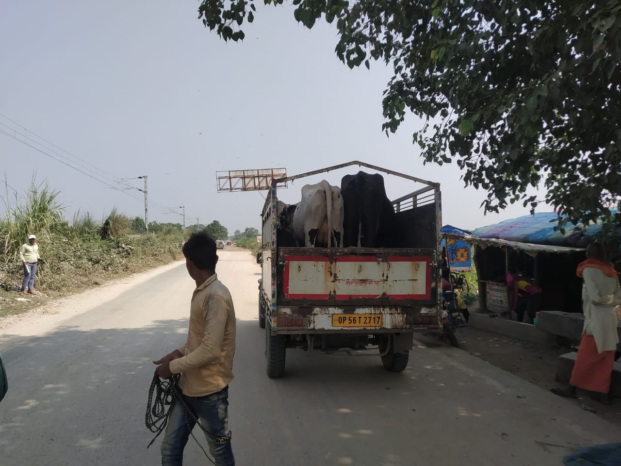 IMG-20221105-WA0044(1)