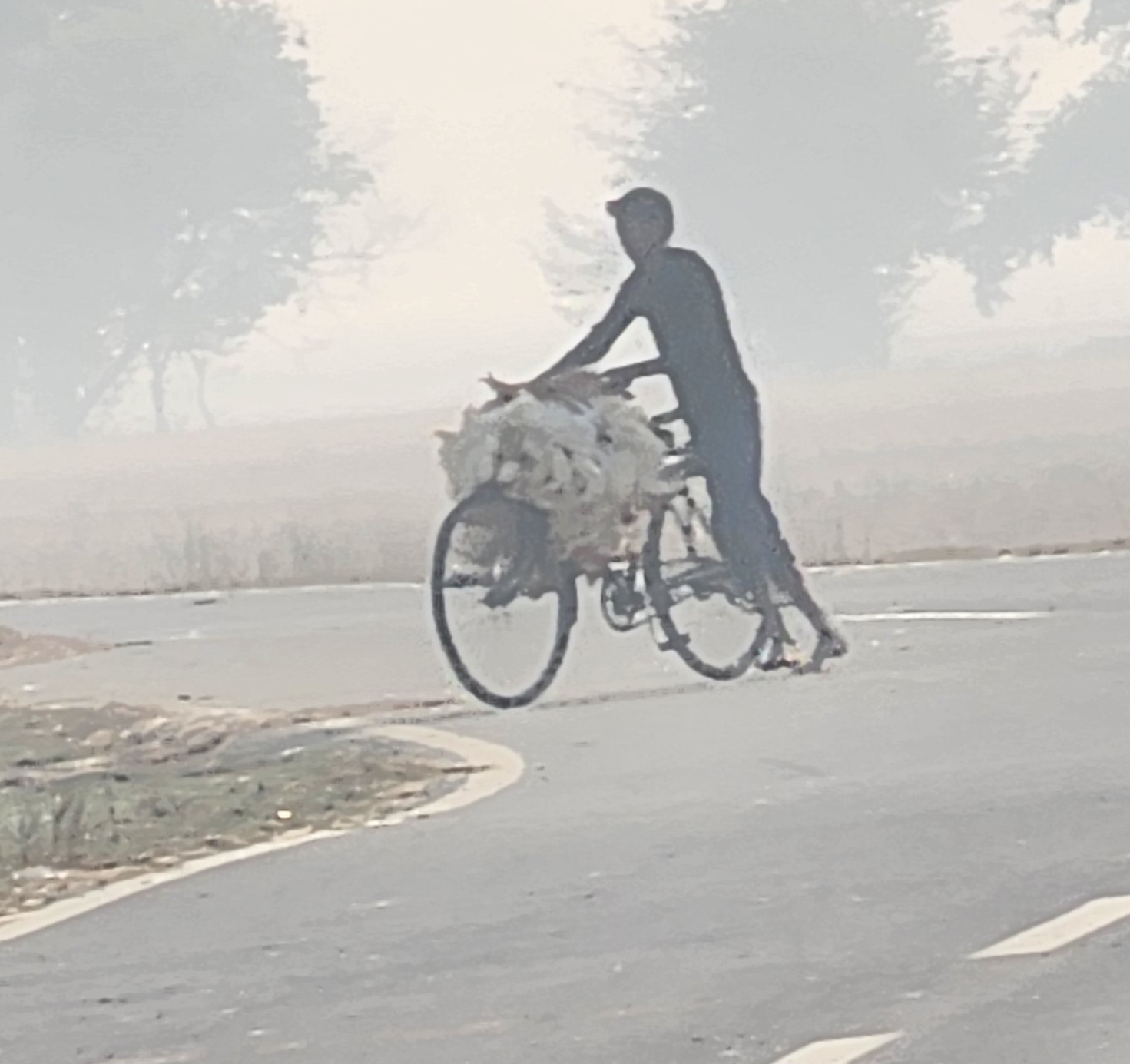 बिना किसी रोक-टोक के नेपाल भेजी जा रही मुर्गे की खेप 