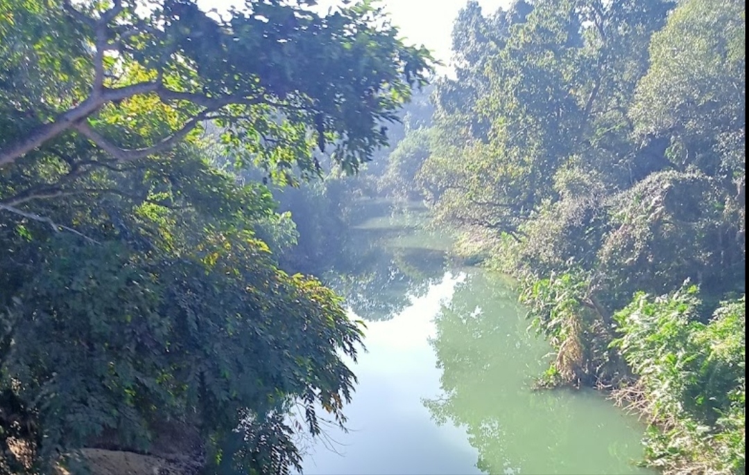 जटहां- बगहा पूल निर्माण से सिमटेगी दूरी दो राज्य का होगा विकास