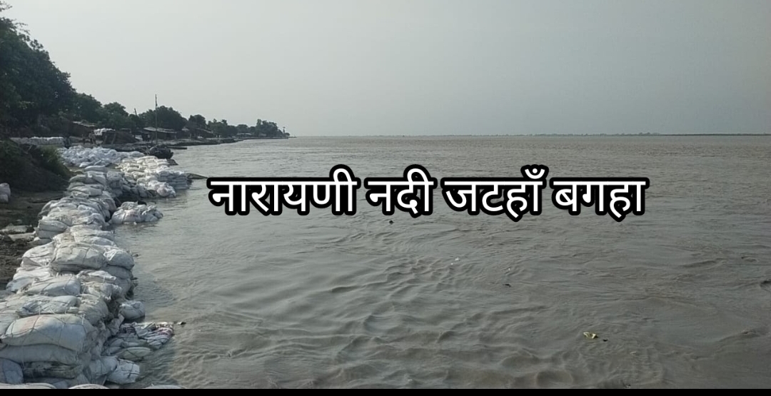 Screenshot_2023-12-02-04-40-13-580_com.google.android.apps.photos-edit