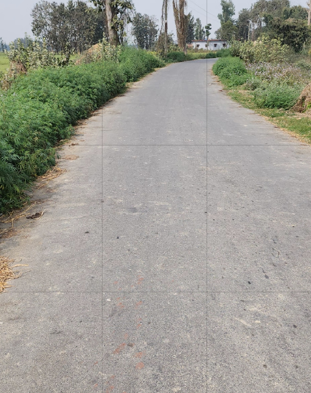 पहला खबर,