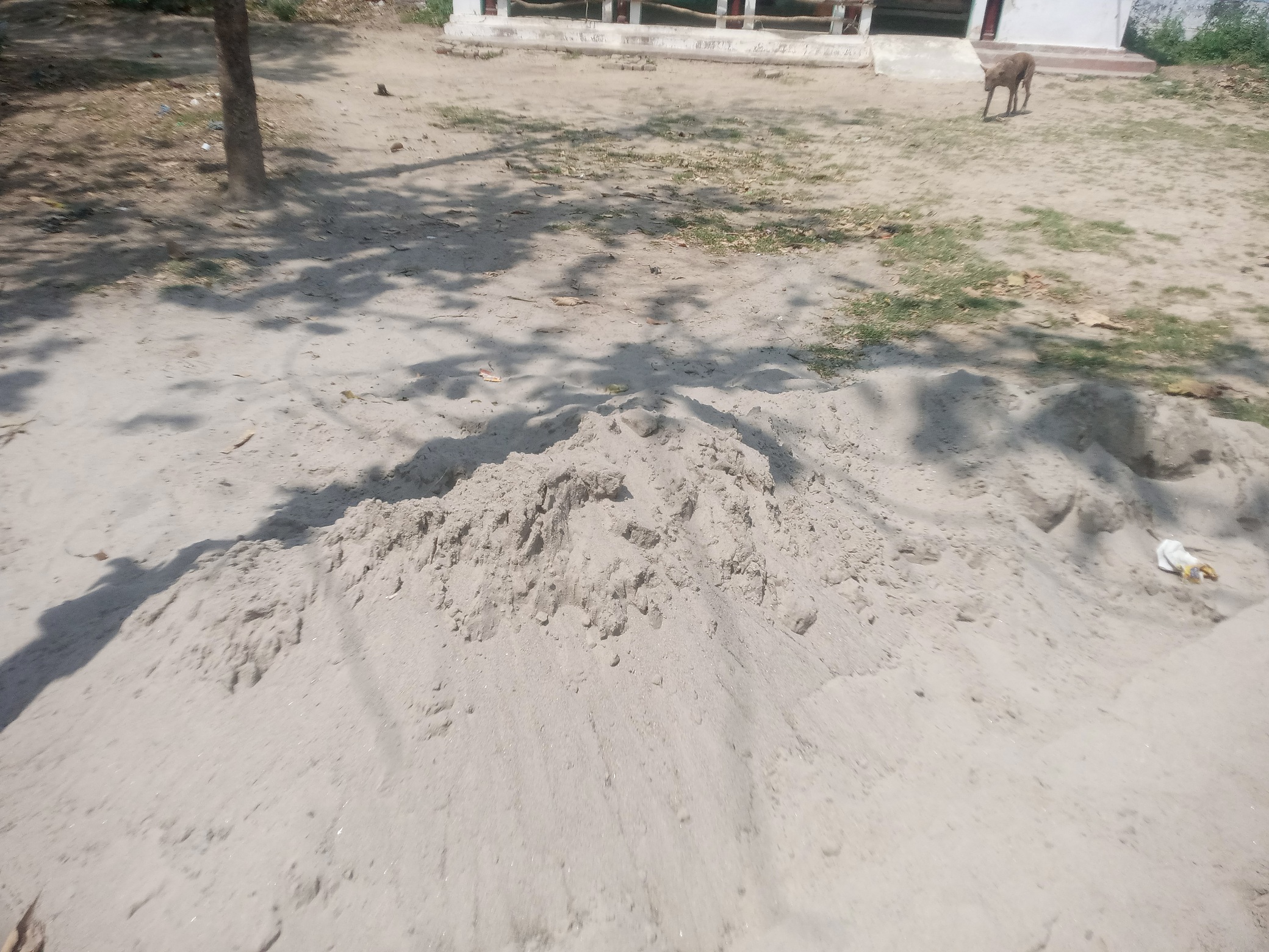 IMG_20240405_112224_007