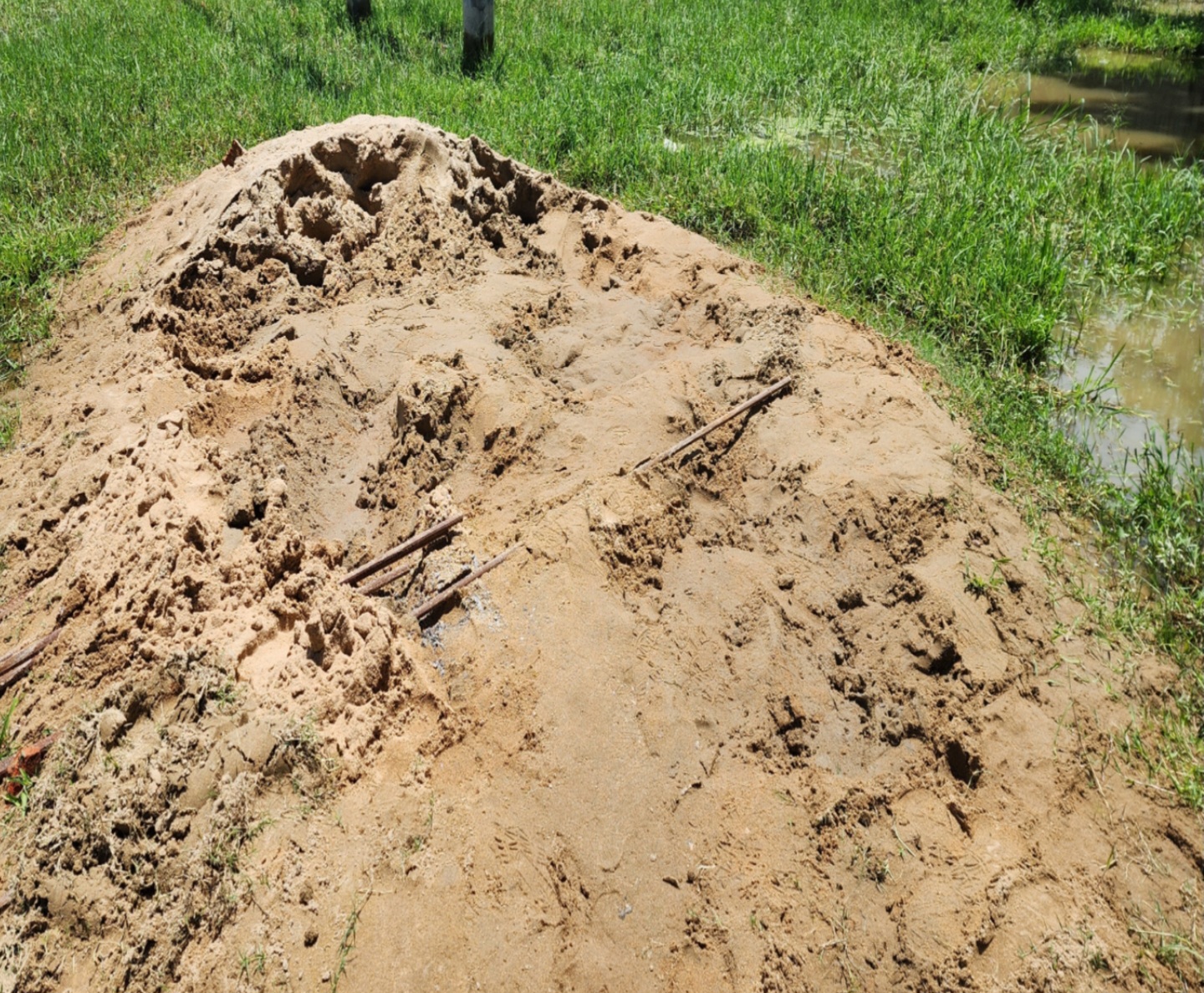 Screenshot_20240726_185016_Gallery