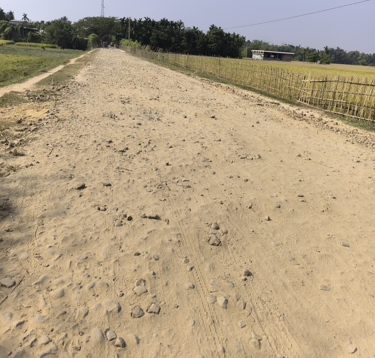 असम श्रीभूमि जिले के पातिआला से कालाछड़ा बाजार तक जर्जर सड़क की स्थिति को लेकर स्थानीय ग्रामीणों ने शिकायत और दुख व्यक्त की।