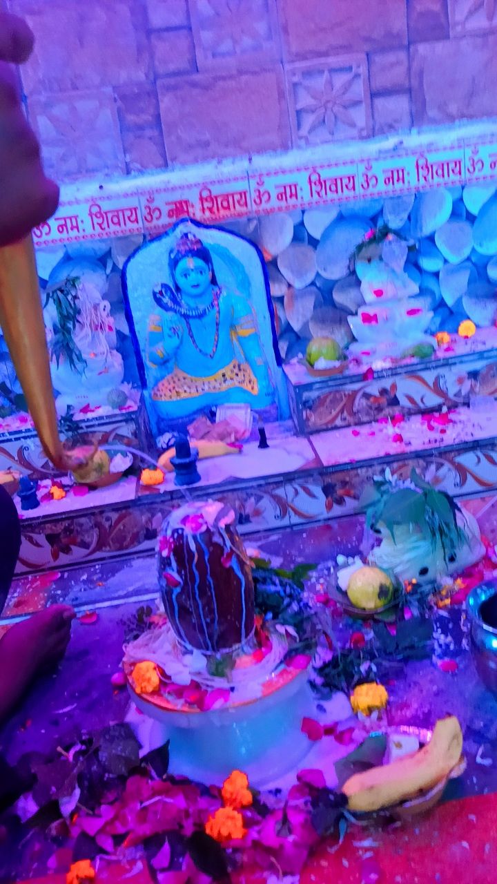 ओमेश्वर महादेव मंदिर की प्राण प्रतिष्ठा के साथ धूमधाम से मनाया गया श्रावण मास