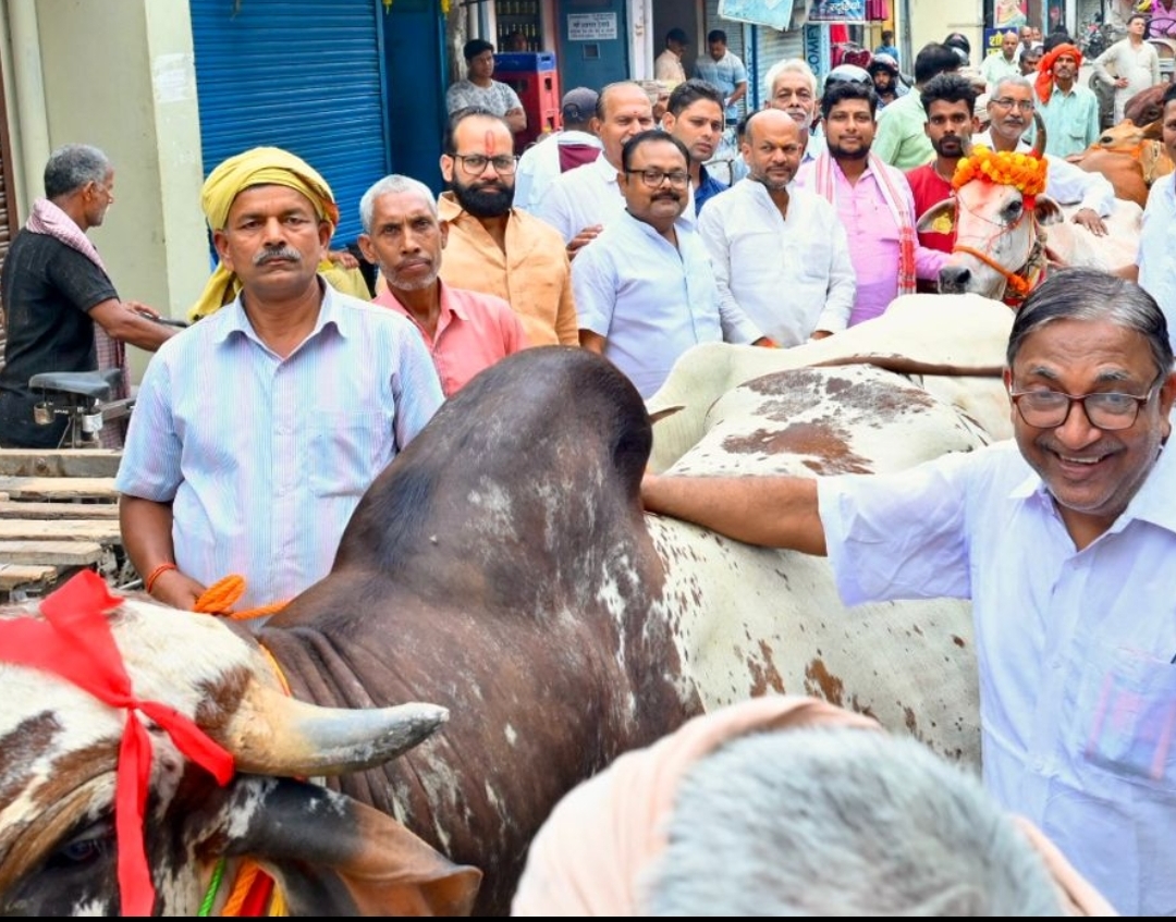 Screenshot_2025-10-29-21-03-25-279_com.whatsapp-edit