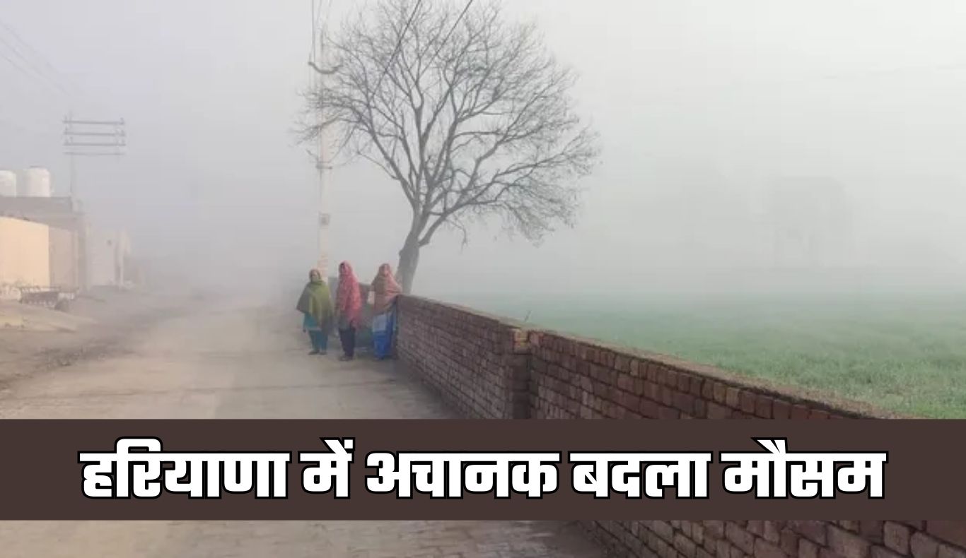 haryana weather 2026 03 08t101858.341