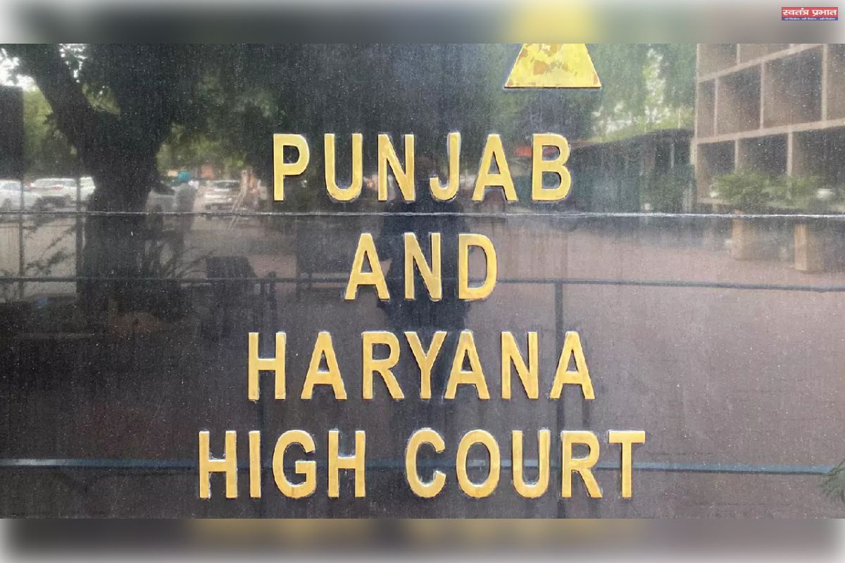 601906 punjab haryana hc 1