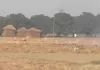 हसनगंज में पराली जला रहे किसान, धुंध से लोगों को सांस लेने में हो रही दिक्कत